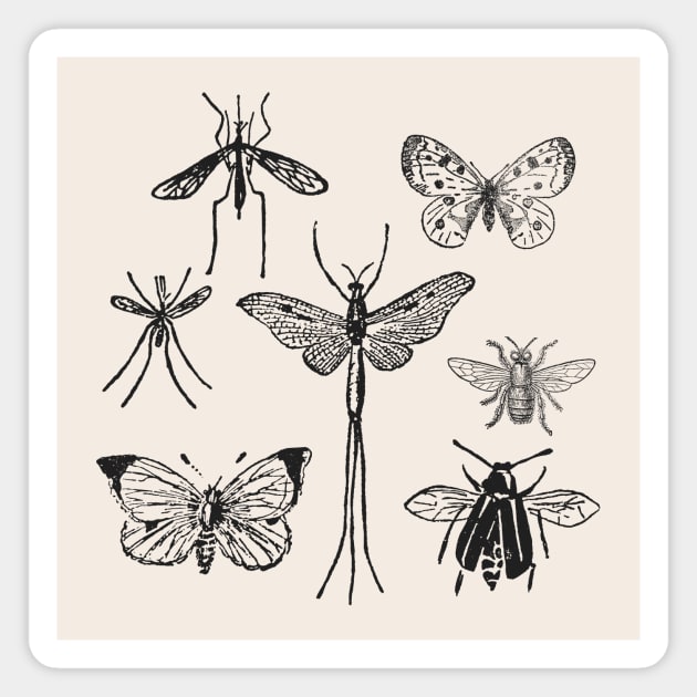 Moths & Butterflies & Insects Magnet by zeljkica